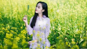 夜狼seo